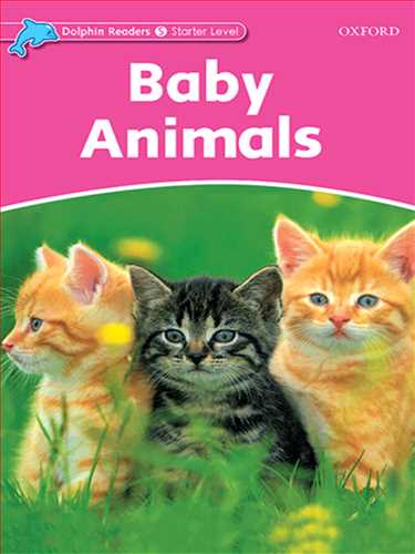 Baby Animals